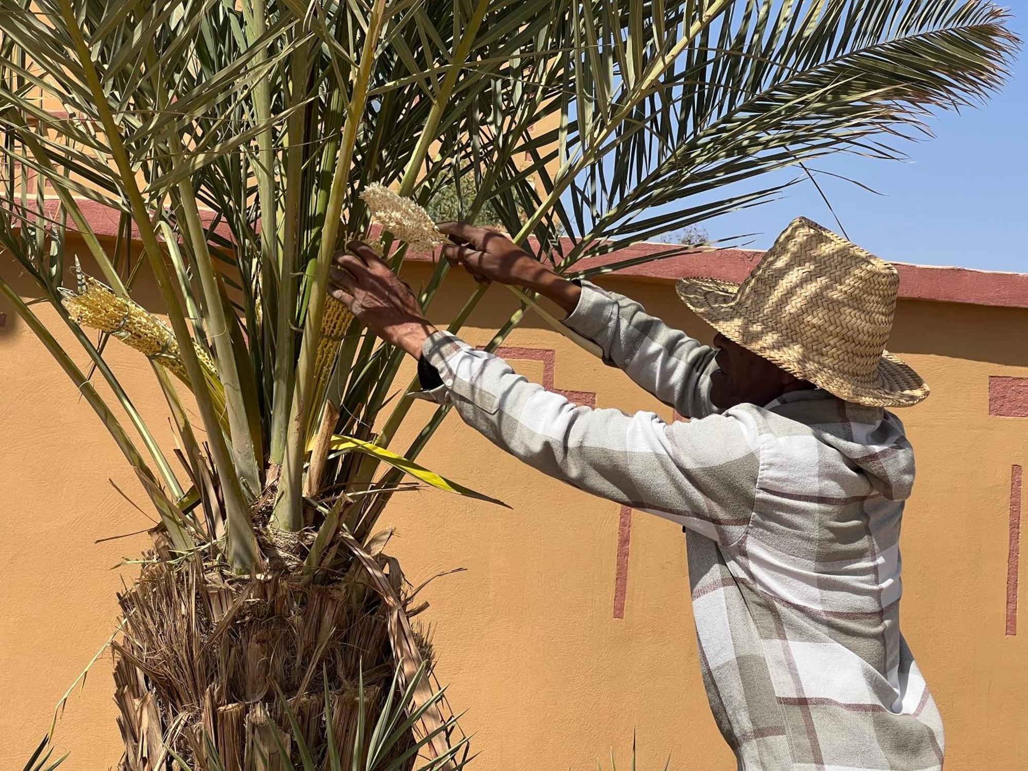 Berber Palace 梅尔祖卡 外观 照片